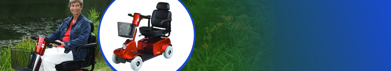 The Fortress Scooter Banner